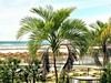 VOI Vila do Farol Resort - obrázek č. 2